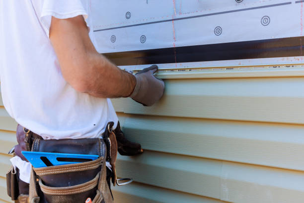 Best Aluminum Siding Installation  in Scottville, MI